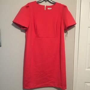 Coral Pink Puff Sleeve Dress by Calvin Klein